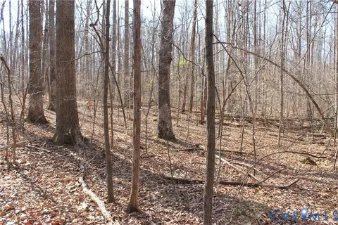 000 Harbor Dr, Orange, VA 22960 photo 22