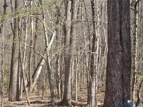 0 Equestrian Trail Rd, New Canton, VA 23123