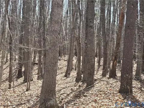 00 Equestrian Trail Rd, New Canton, VA 23123