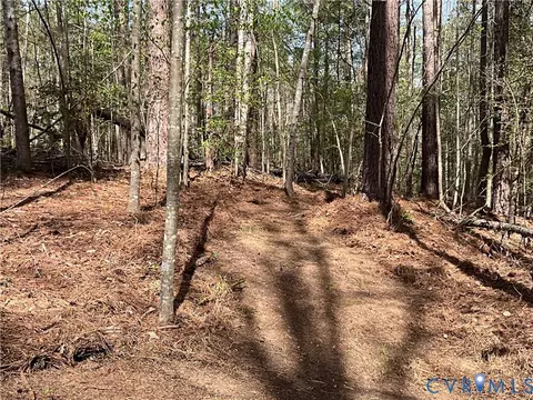 Other - 3005 Willow Trace Ln, Sandy Hook, VA 23153 photo 14 of 14