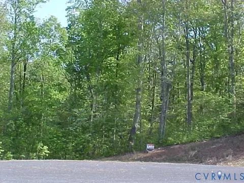 0 Lake Pointe Ct, Pamplin, VA 23958
