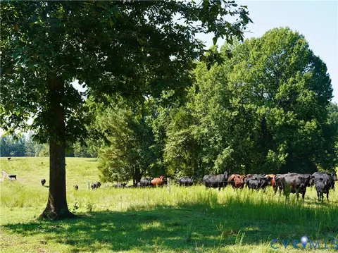 Other - 4943 Grandy Rd, Brodnax, VA 23920 photo 40 of 52