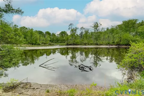 View/Area - 40 River Ct, Aylett, VA 23009 photo 3 of 4
