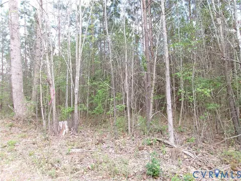69- 1 Lew Jones Rd, Dewitt, VA 23840