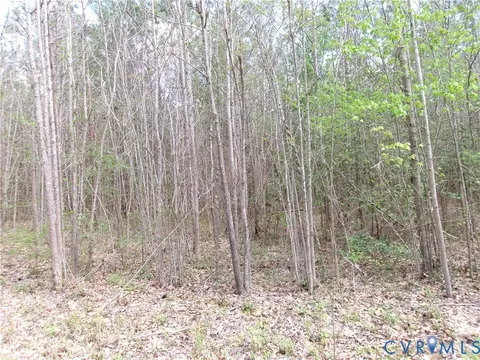 69- 1 Lew Jones Rd, Dewitt, VA 23840 photo 2