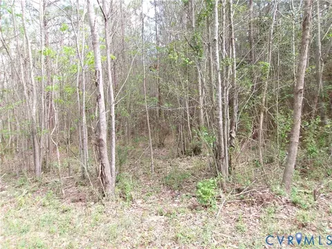 69- 1 Lew Jones Rd, Dewitt, VA 23840 photo 3