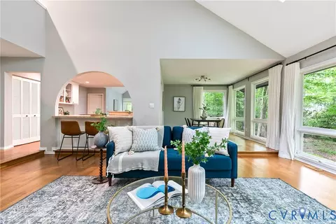 Living - 14307 Spring Gate Ct, Midlothian, VA 23112 photo 4 of 5