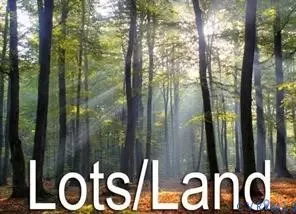 lot5 Graham Ln, Disputanta, VA 23842