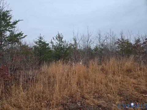 00 Leigh Mountain Rd, Green Bay, VA 23942
