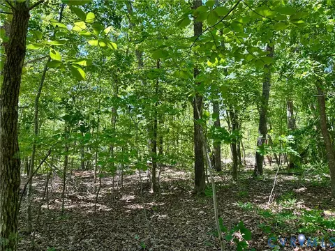 lot6 Buffalo Church Rd, Pamplin, VA 23958