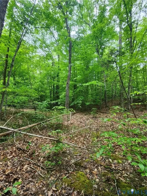 0 Bryants Ford Rd, Fork Union, VA 23055 photo 9