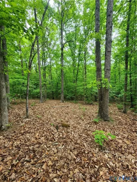 0 Bryants Ford Rd, Fork Union, VA 23055