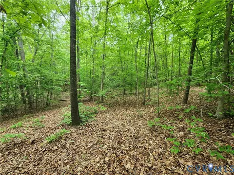 0 Bryants Ford Rd, Fork Union, VA 23055 photo 14