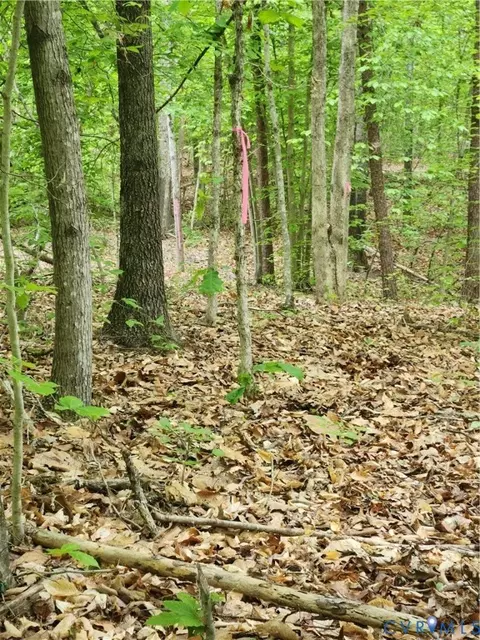 0 Bryants Ford Rd, Fork Union, VA 23055 photo 2