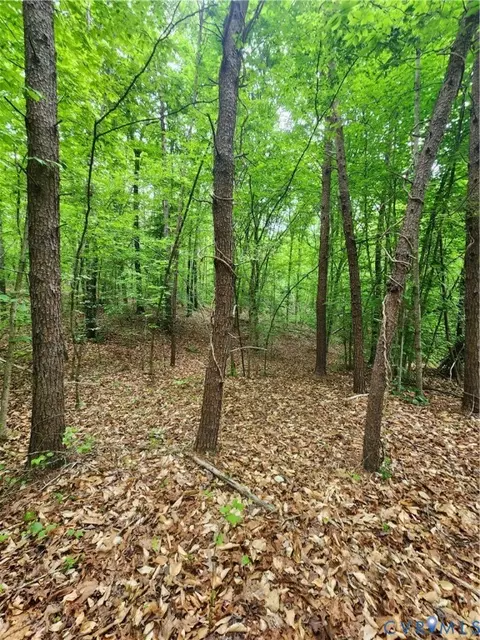 0 Bryants Ford Rd, Fork Union, VA 23055 photo 13