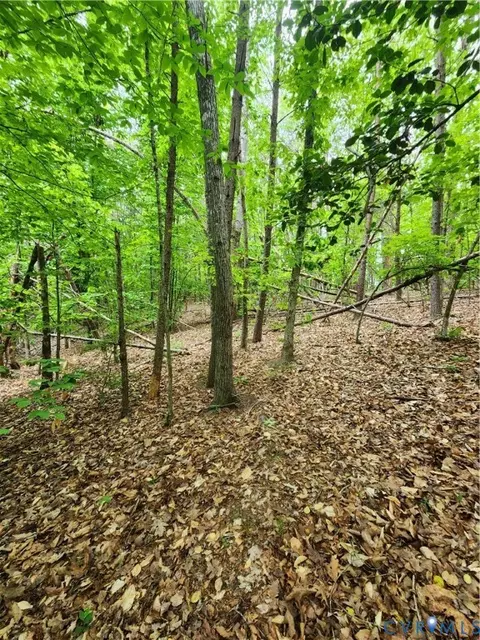 0 Bryants Ford Rd, Fork Union, VA 23055 photo 12
