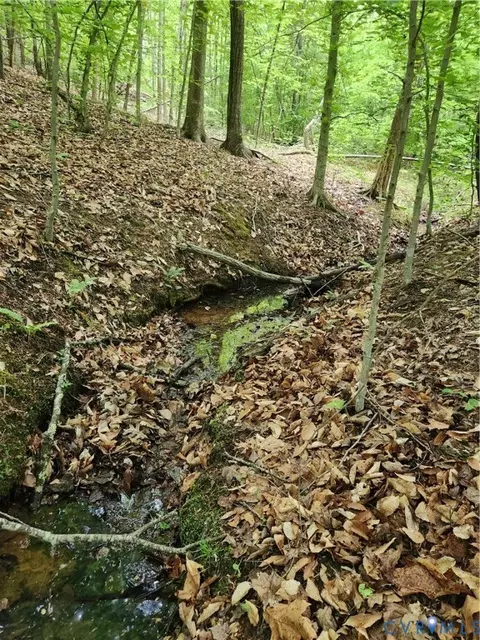 0 Bryants Ford Rd, Fork Union, VA 23055 photo 7