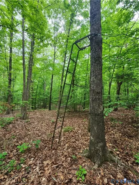 0 Bryants Ford Rd, Fork Union, VA 23055 photo 8