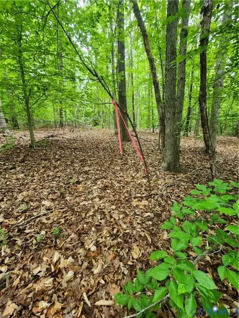 0 Bryants Ford Rd, Fork Union, VA 23055 photo 11