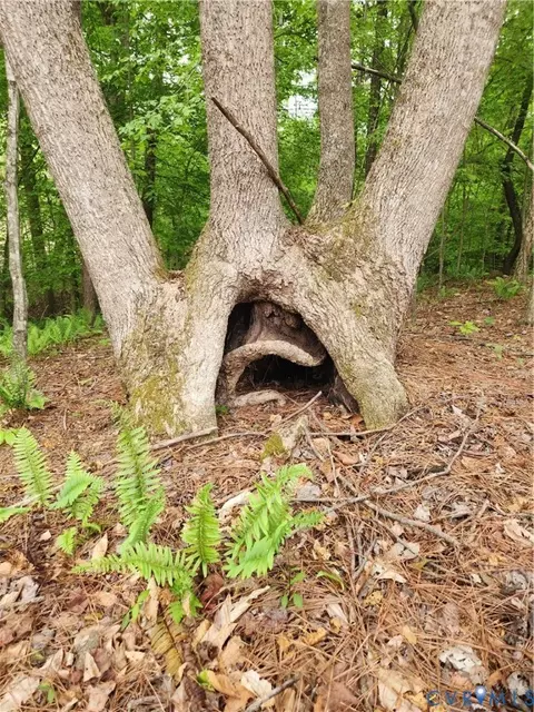 Other - 76 S Fork Rdg, Fork Union, VA 23022 photo 1 of 12