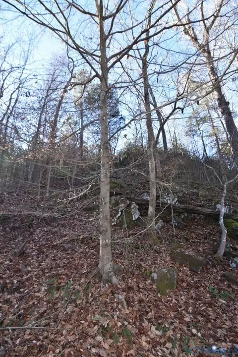 00 Plank Rd, Dillwyn, VA 23936 photo 11