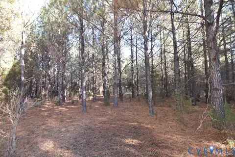 00 Plank Rd, Dillwyn, VA 23936 photo 17