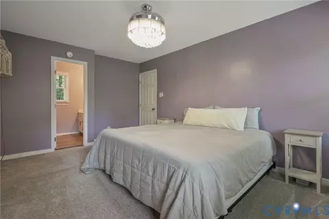 14712 Mill Spring Dr, Midlothian, VA 23112 photo 39