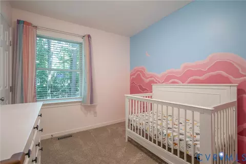 14712 Mill Spring Dr, Midlothian, VA 23112 photo 30