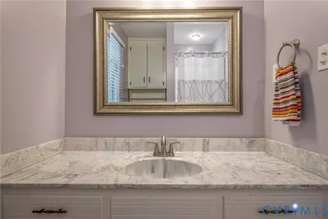 14712 Mill Spring Dr, Midlothian, VA 23112 photo 41