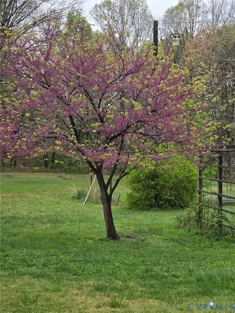3607 Pacetown Rd, Sandy Hook, VA 23153 photo 66