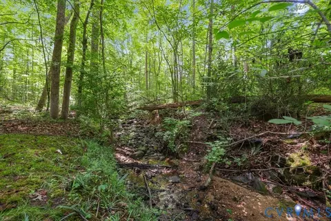 14010 Harbour Pointe Rd, Midlothian, VA 23112 photo 61