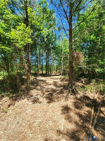 lot3 Deep Creek Rd, Kents Store, VA 23084