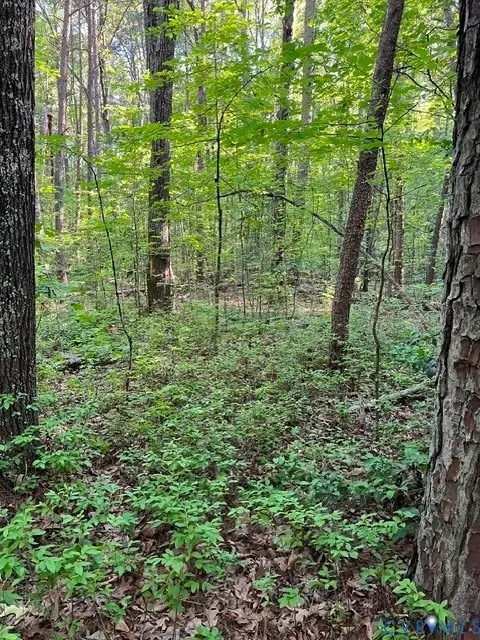 16117 W Patrick Henry Rd, Montpelier, VA 23192