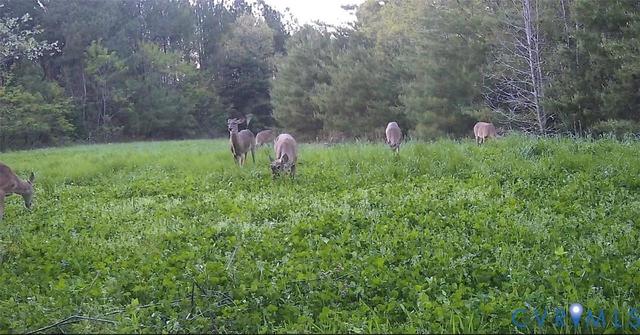 0 And 00 Nesting Rd, Jamaica, VA 23079