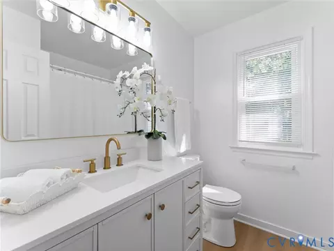 5311 Chestnut Bluff Rd, Midlothian, VA 23112 photo 25