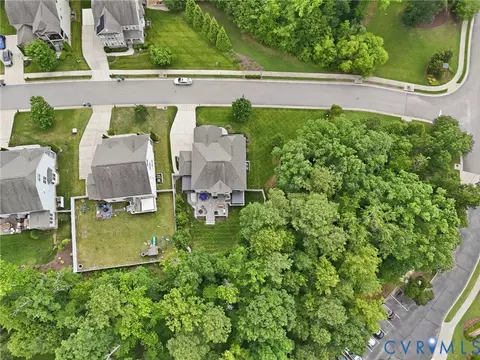 View/Area - 16707 White Daisy Loop, Moseley, VA 23120 photo 3 of 4