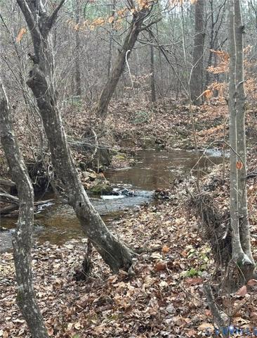 tbd Perkins Mill Rd, Dillwyn, VA 23936