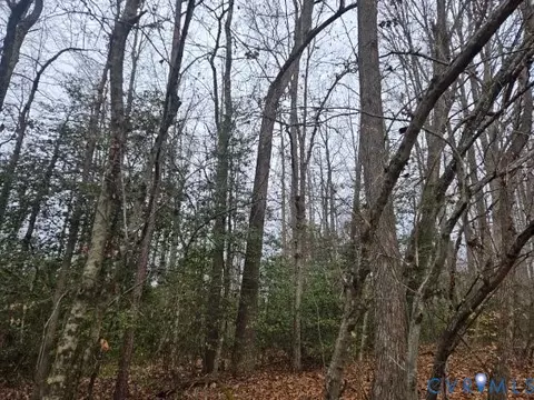 0 Tabscott Rd, Kents Store, VA 23084