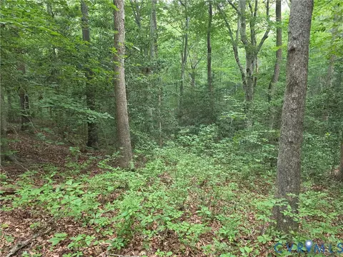 00 Dorrell Rd, Aylett, VA 23009 photo 7