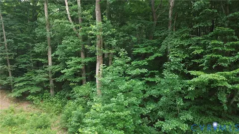 00 Dorrell Rd, Aylett, VA 23009 photo 16