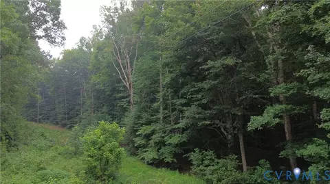 00 Dorrell Rd, Aylett, VA 23009 photo 11