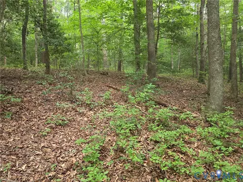 00 Dorrell Rd, Aylett, VA 23009 photo 8
