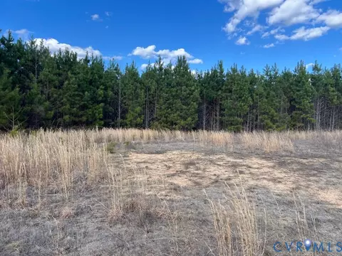 000 Cox -460 Business Rd, Blackstone, VA 23824 photo 5