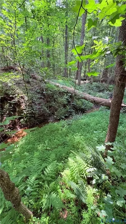 000 Old Buckingham Rd, Powhatan, VA 23139