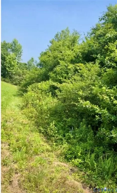 5 Morgan Circle Rd, Nottoway, VA 23824 photo 2