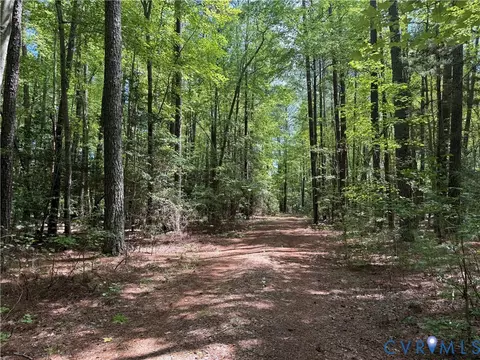 0 Robinson Ln, Topping, VA 23169 photo 2