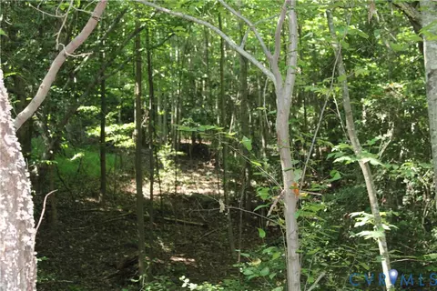6221 Sturgeon Point Rd, Providence Forge, VA 23140 photo 23