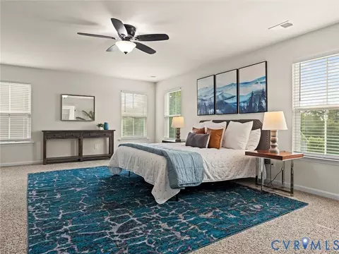 Bedroom - 16866 White Daisy Loop, Moseley, VA 23120 photo 1 of 12