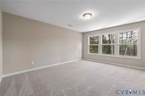 17318 Elixir Ct, Moseley, VA 23120 photo 10
