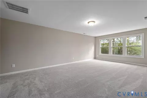 Other - 17318 Elixir Ct, Moseley, VA 23120 photo 8 of 9